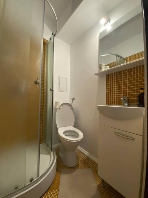 Apartment Marry Studio Bucharest