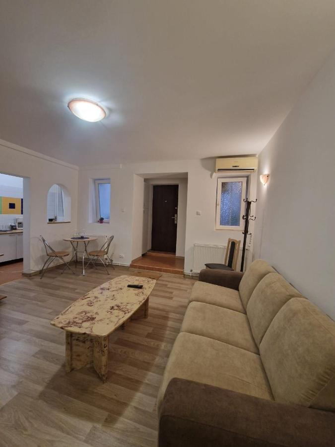 Ambient Cismigiu Apartment