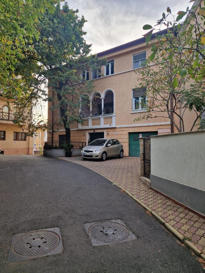 Apartment Ambient Cismigiu *