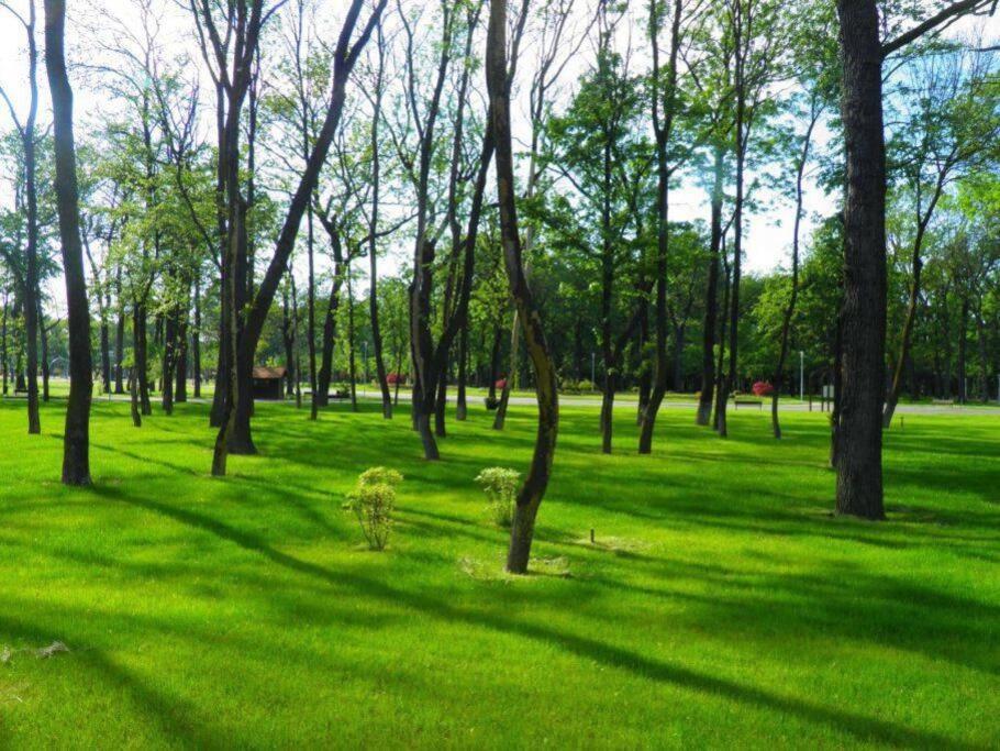 Excellent Price For A Family Or Group Of Travelers Apartment Bucharest