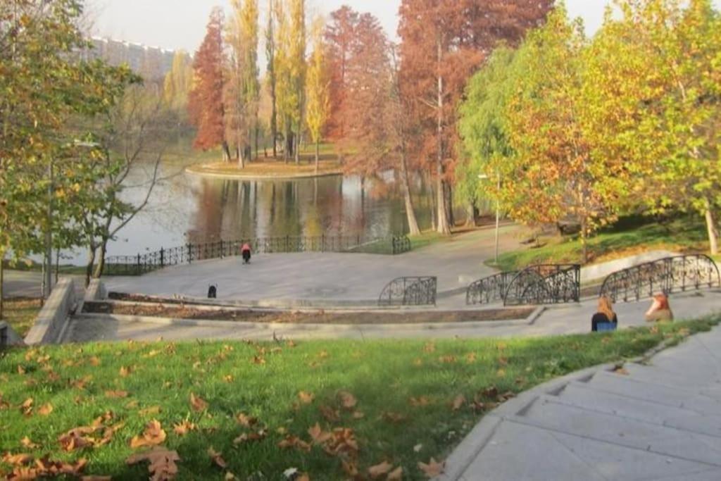 Excellent Price For A Family Or Group Of Travelers * Bucharest