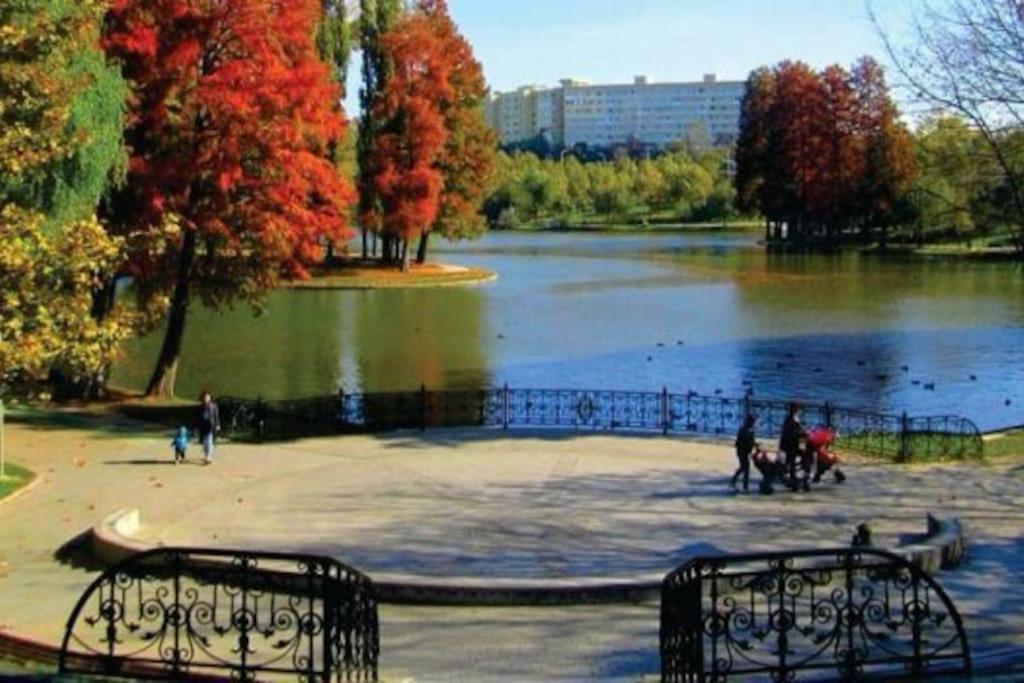 Excellent Price For A Family Or Group Of Travelers Bucharest