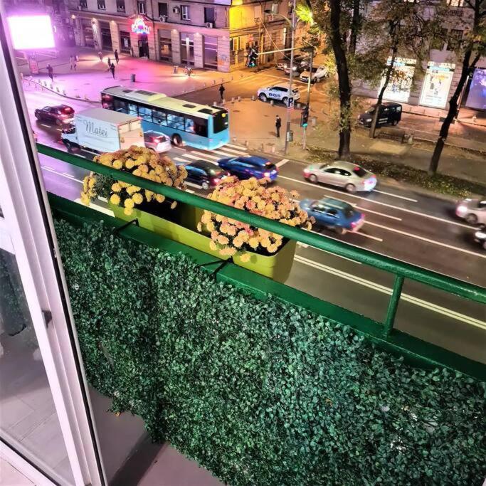 Bellevue Apartamento