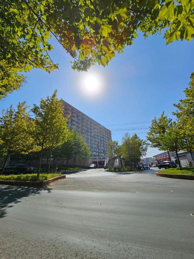 Shiro Havensuite * Bucharest