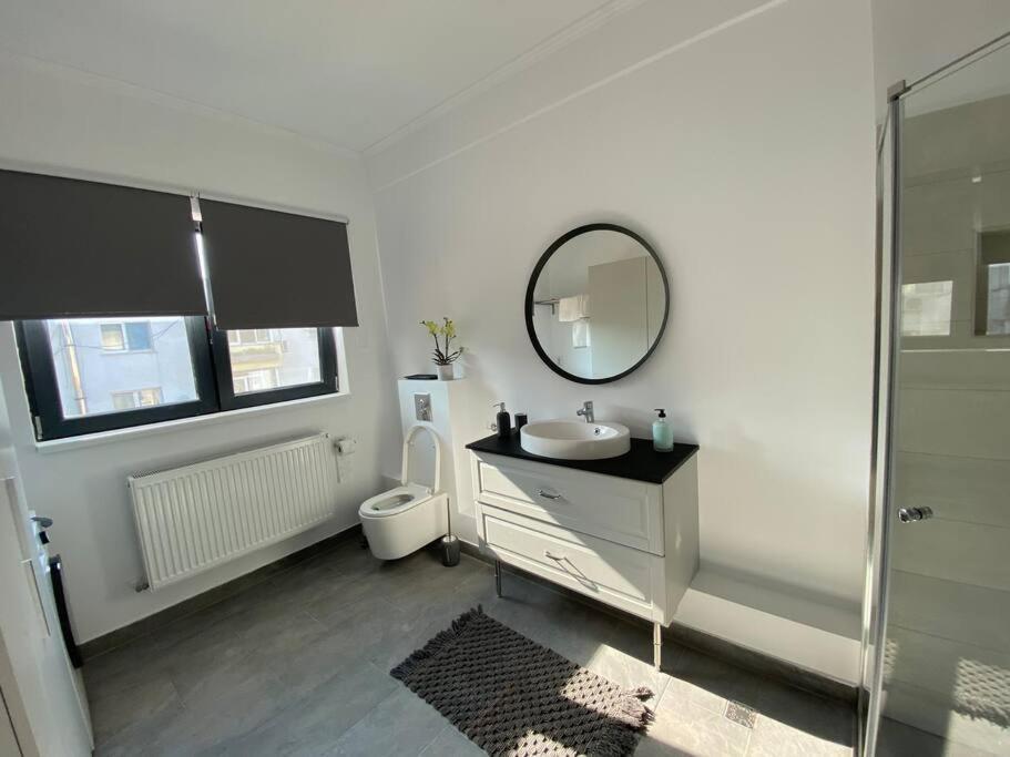 Apartment Loft Floreasca *