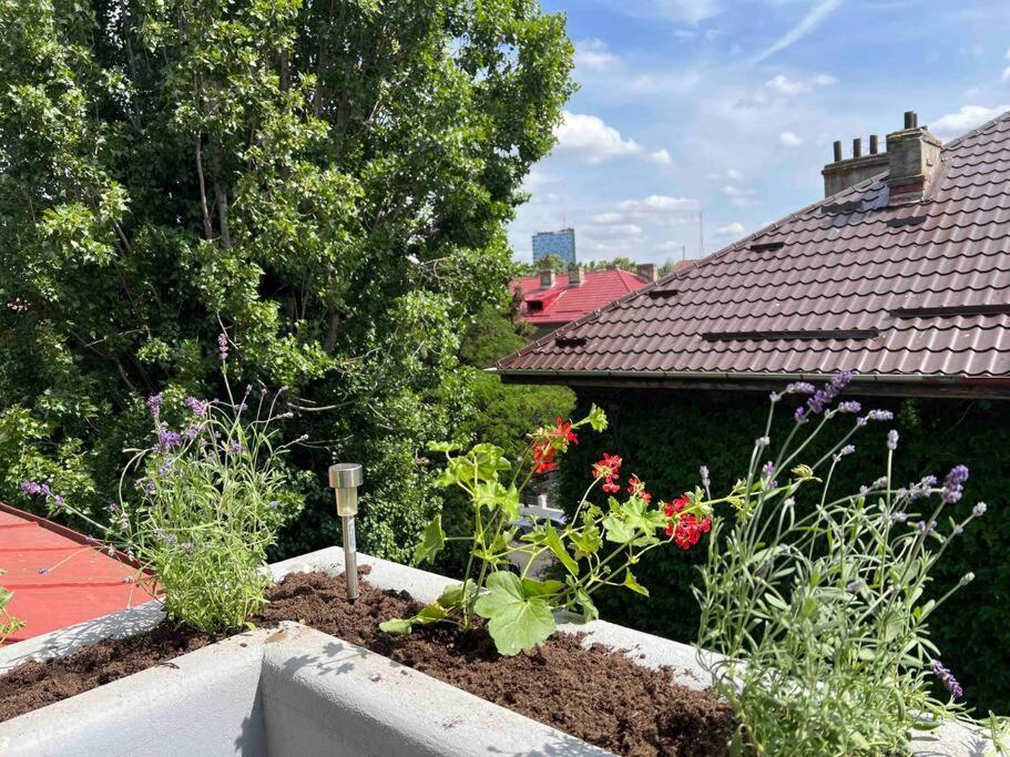 Loft Floreasca