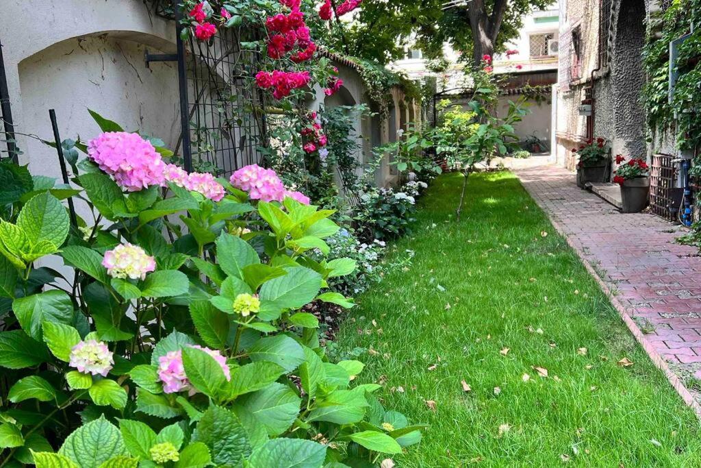 Apartment Loft Floreasca Bucharest