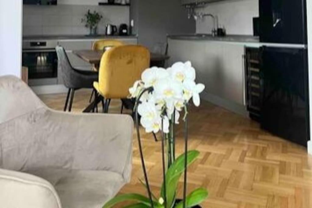 Loft Floreasca Bucharest