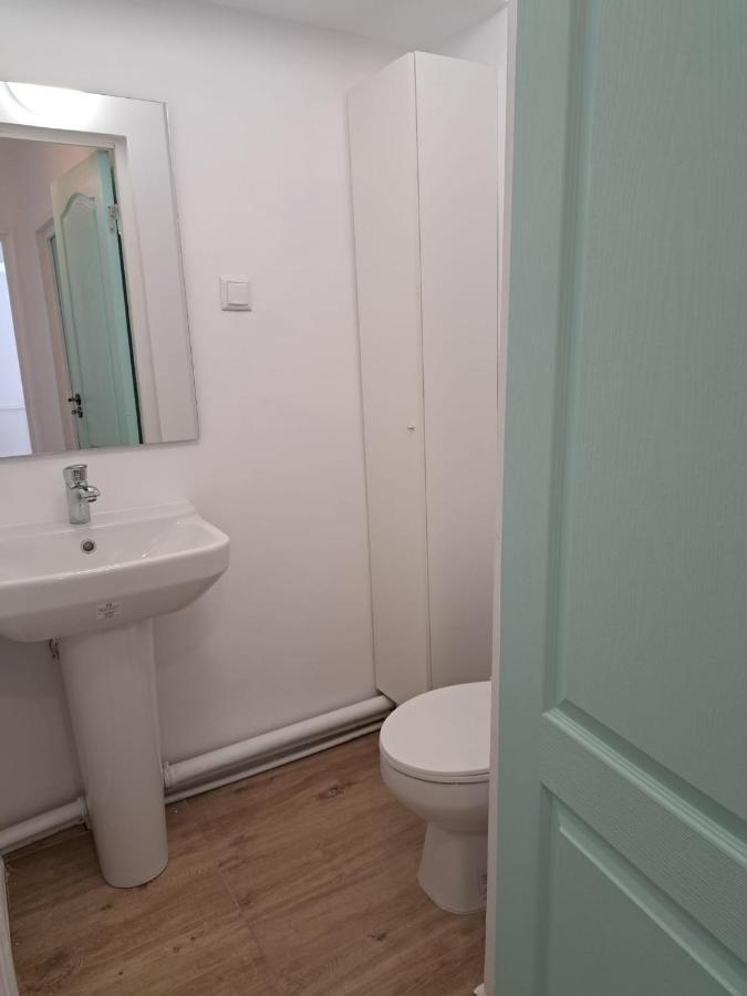 Apartament Titulescu/banu Manta Apartment *
