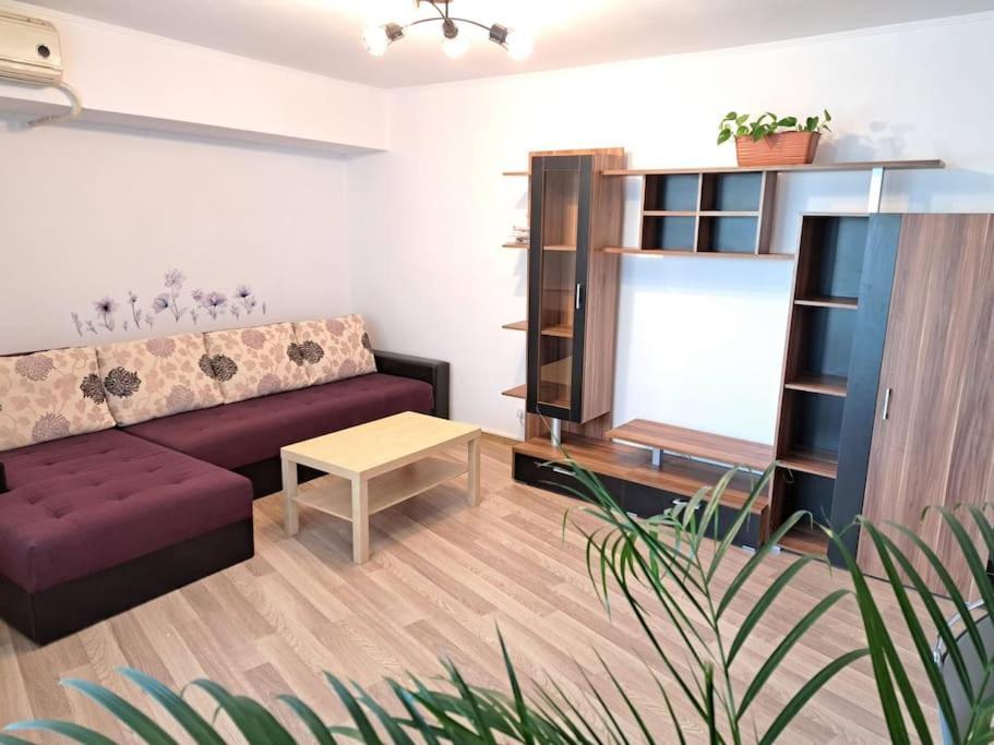 Apartment Apartament Titulescu/banu Manta Bucharest