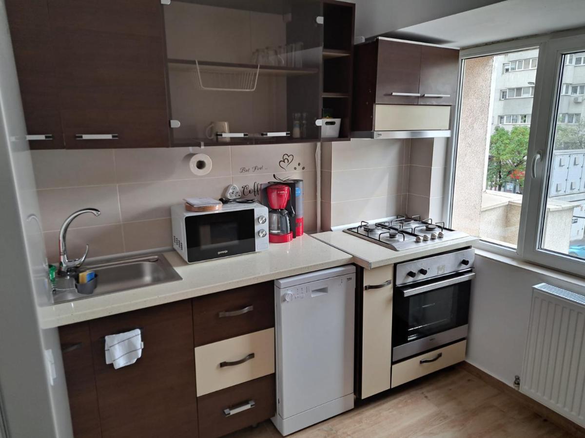 Apartament Titulescu/banu Manta Apartment *