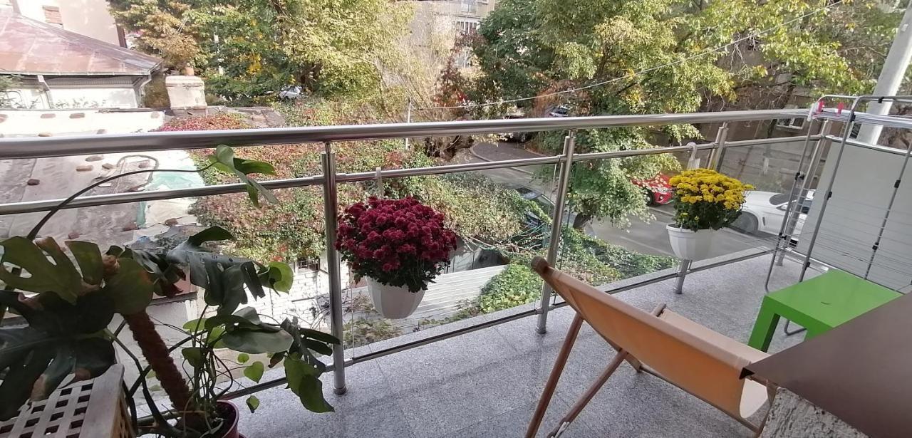 Cozy Grant Bucureşti