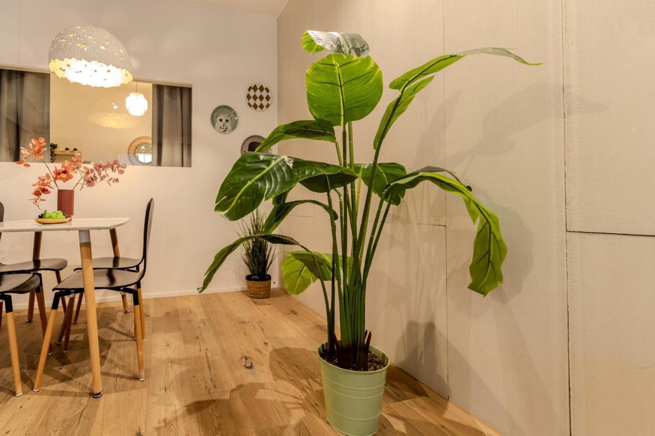 Apartment Long Heaven - Spacious 2br Apt With Balcony Bucharest
