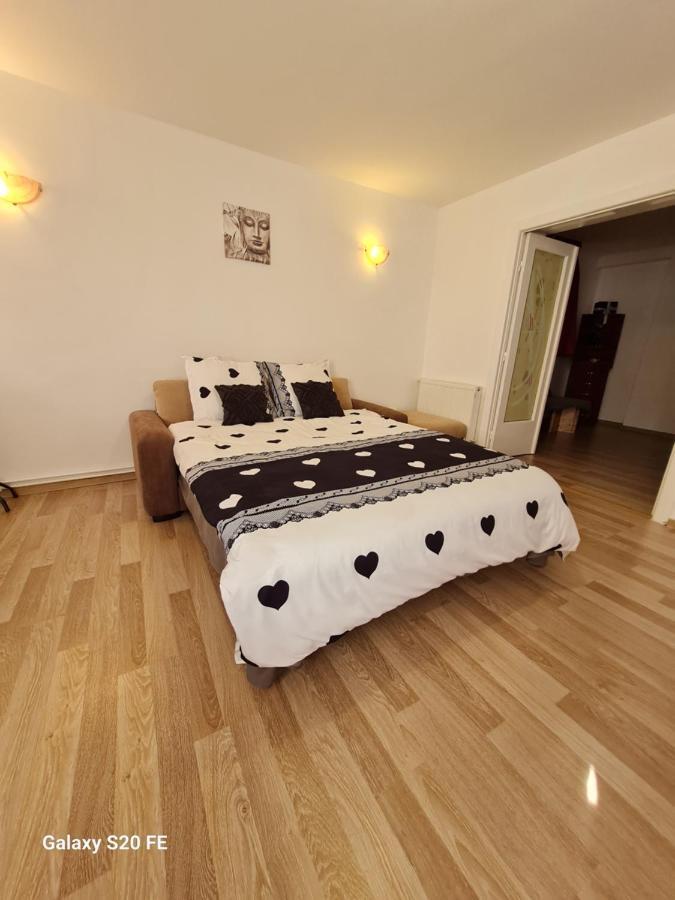 Apartment Ambient Cismigiu *