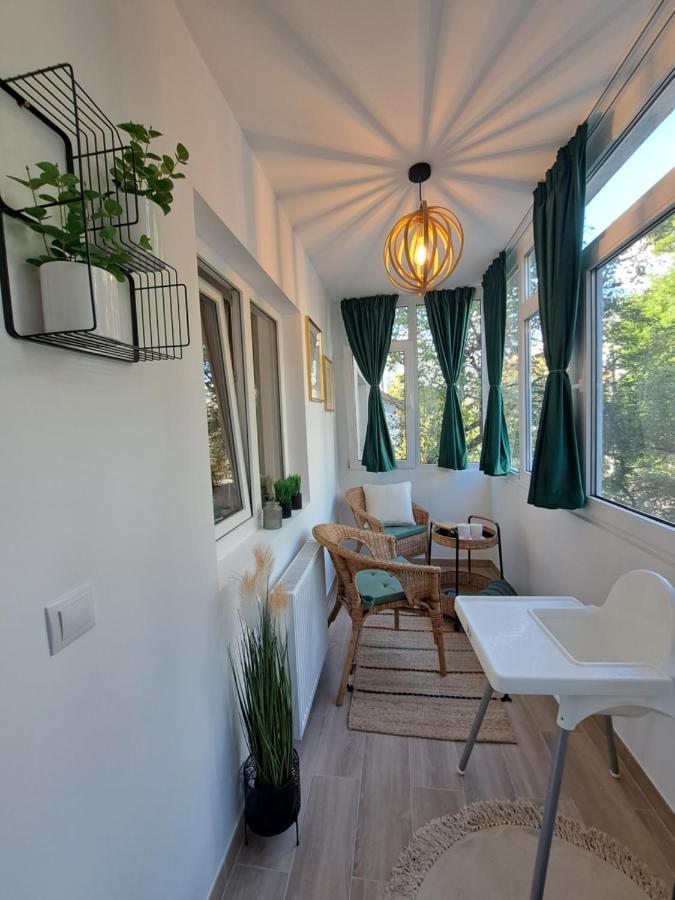 Apartment Herastrau 2