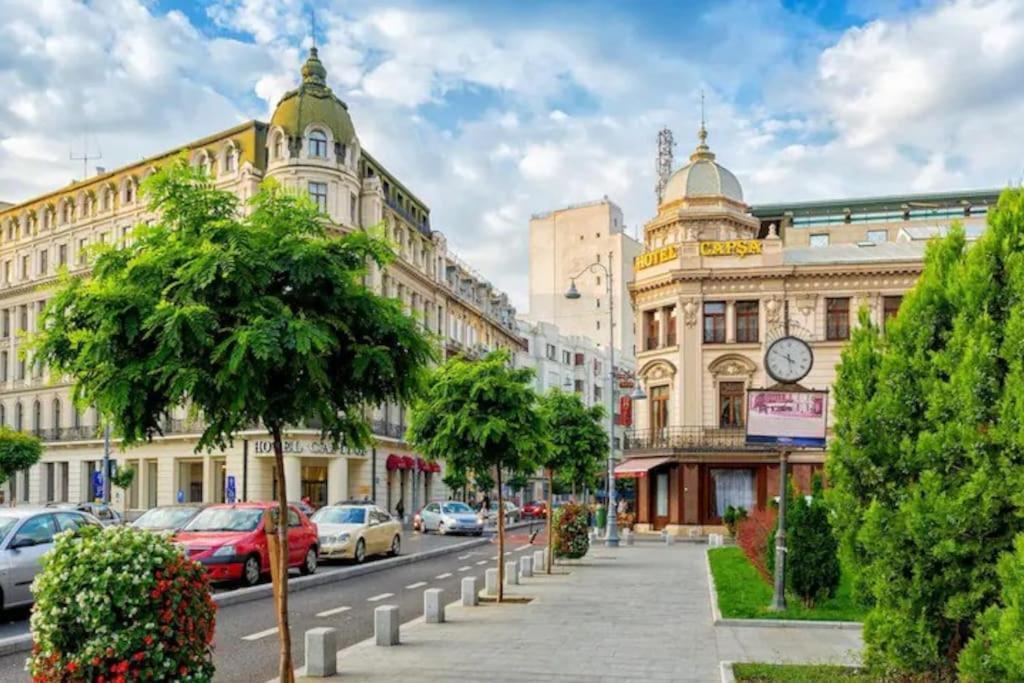 Apartament Cozy & Comfortable Apartment, Cismigiu Park - Pop7 Bucureşti