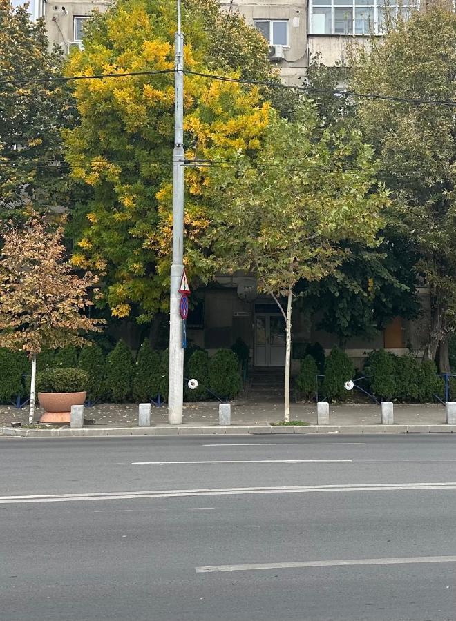 Park View - Netflix Bucureşti
