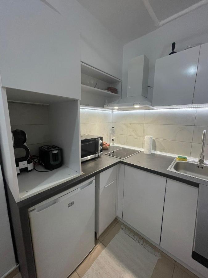 Apartment Joli Bucharest