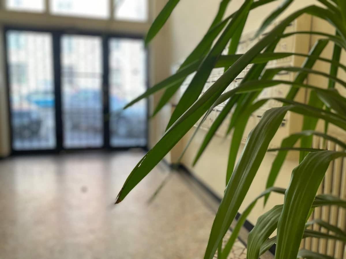 Eden - Amazing Studio - Central Location Bucharest