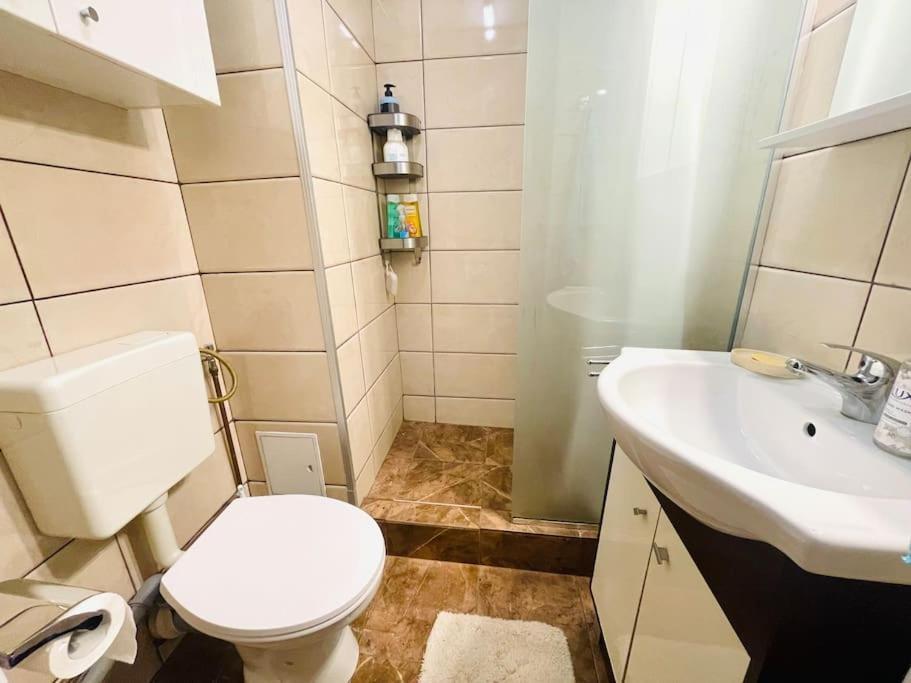 Cozy 1 Bedroom Flat, Ultracentral, Free Wifi Apartament Bucureşti