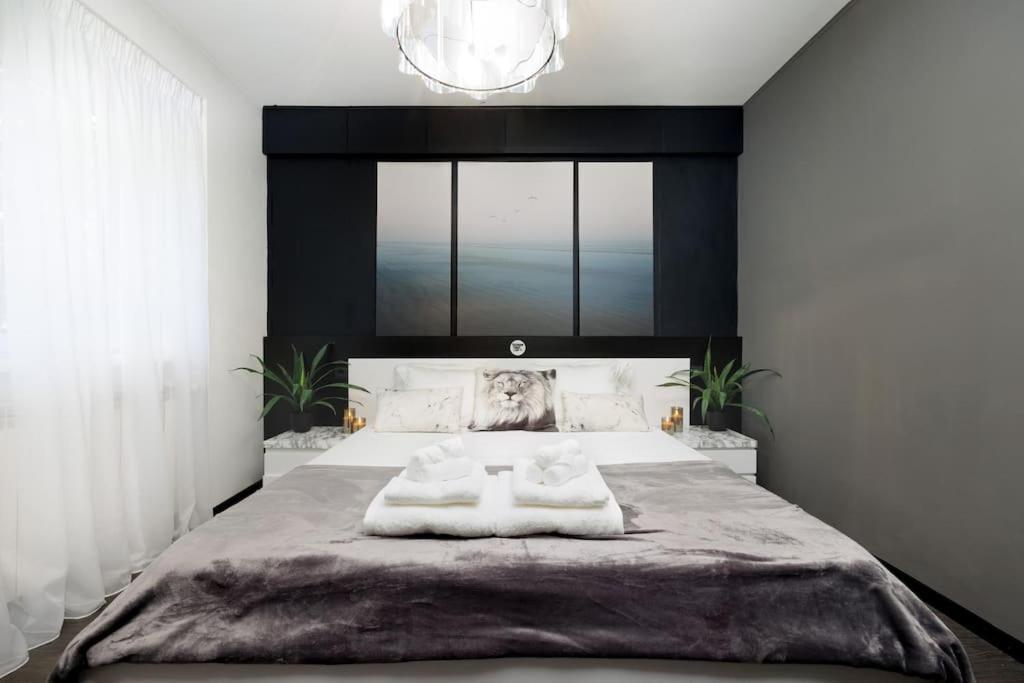 Little Paris Boutique Apartment Bucharest