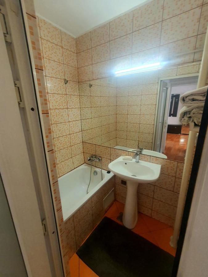 Center Victoriei Apartment *