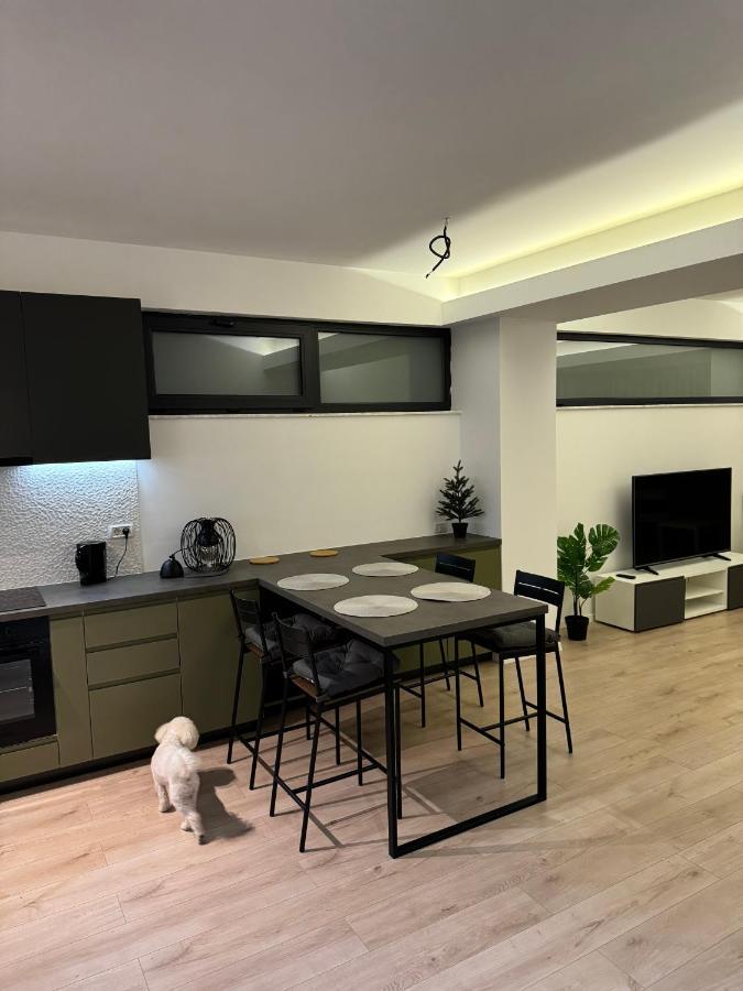 Warm Apartamento Bucareste