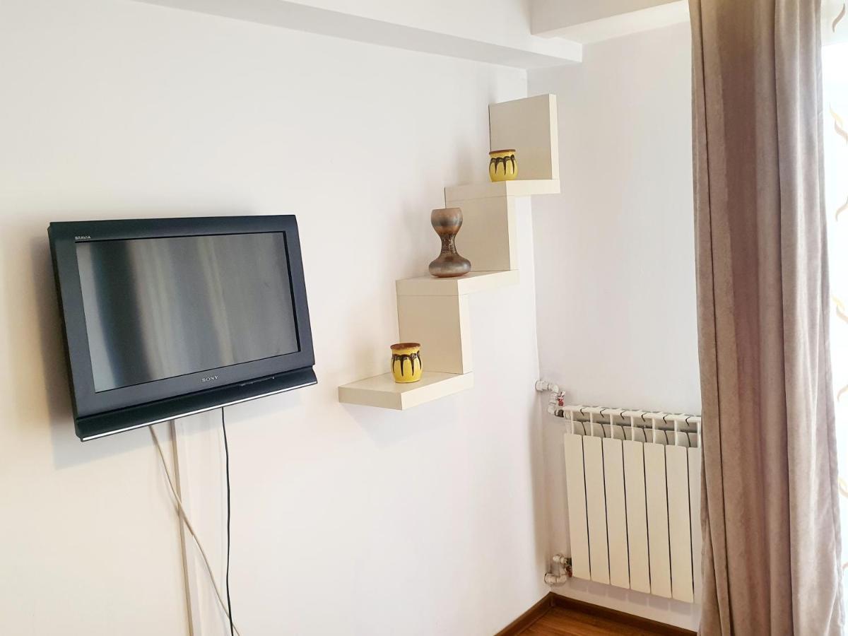 Center Victoriei Apartment Bucharest