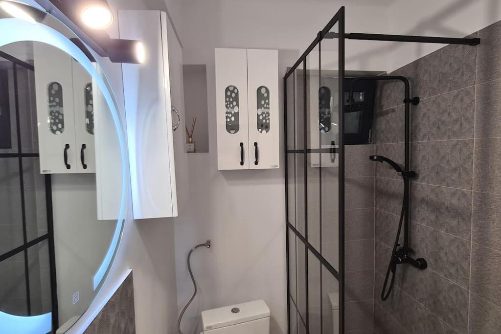 Cosy And Stylish Apartment Bucharest