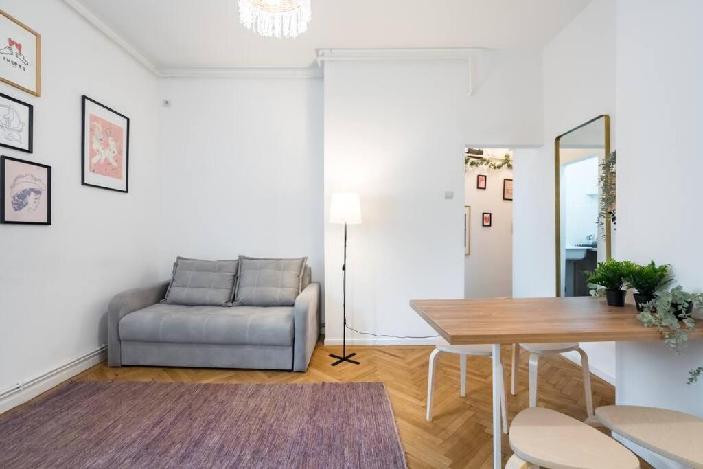 Downtown Cozy Old Town Apartment