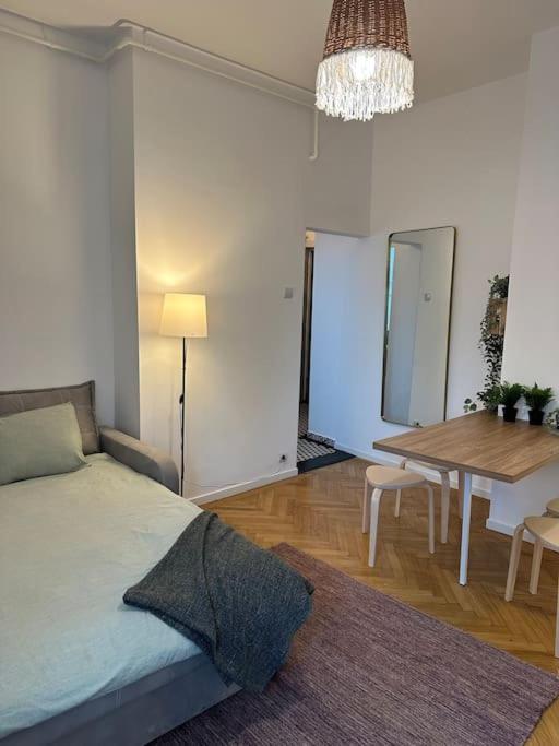 Downtown Cozy Old Town Apartment *