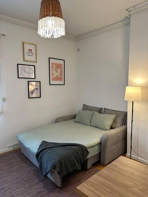 Downtown Cozy Old Town Apartment *