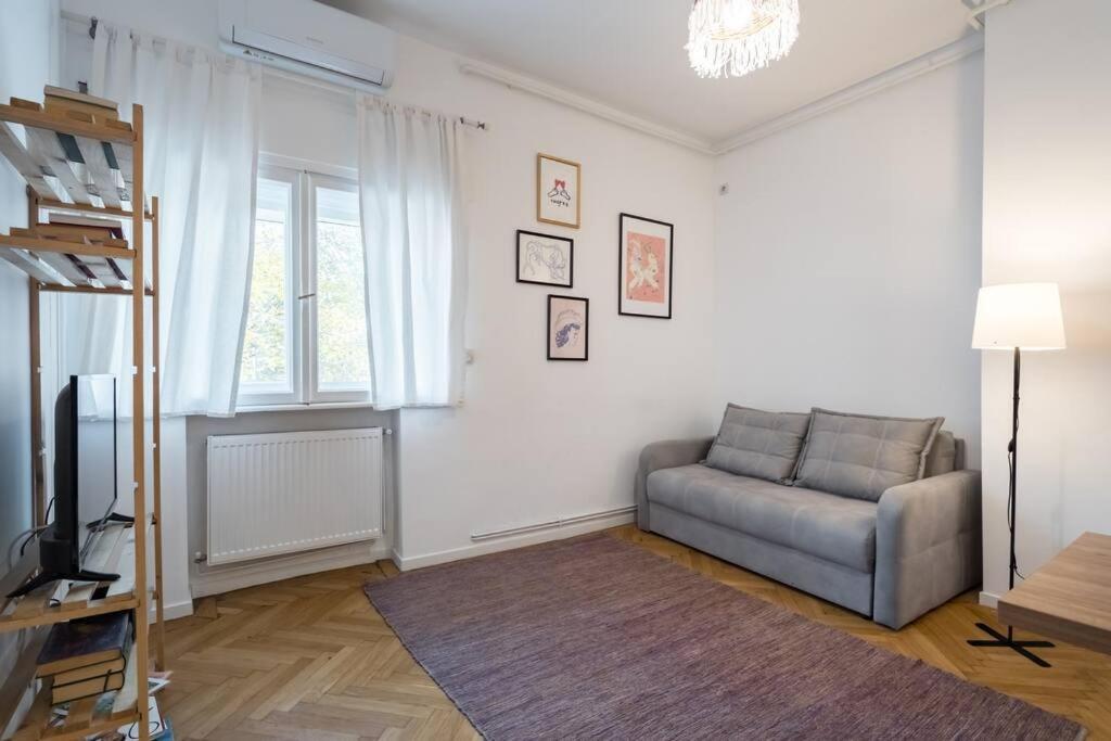 Downtown Cozy Old Town Apartment
