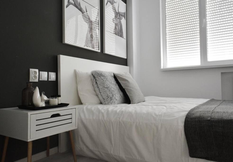 2 Bdr / Cozy Ap Near Old Town Apartment