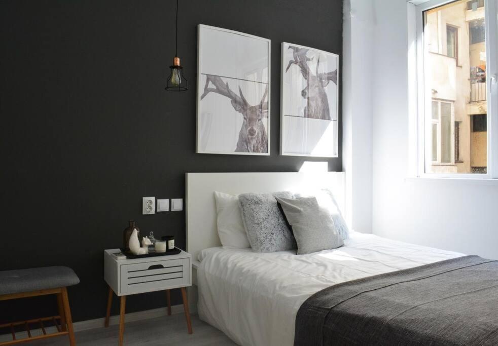 2 Bdr / Cozy Ap Near Old Town Apartment *