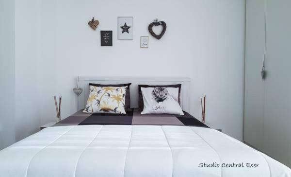 Studio Central Exer X * Bucareste