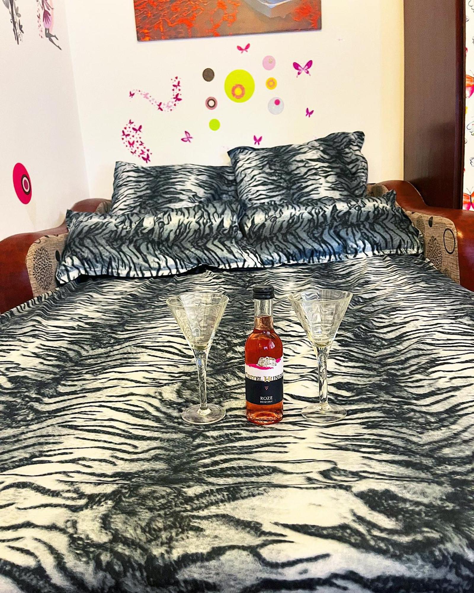 Casa Andu Apartment *