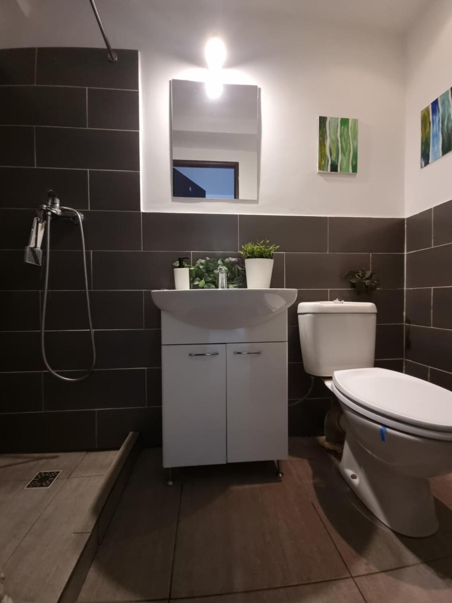 Studio Central Exer X * Bucharest