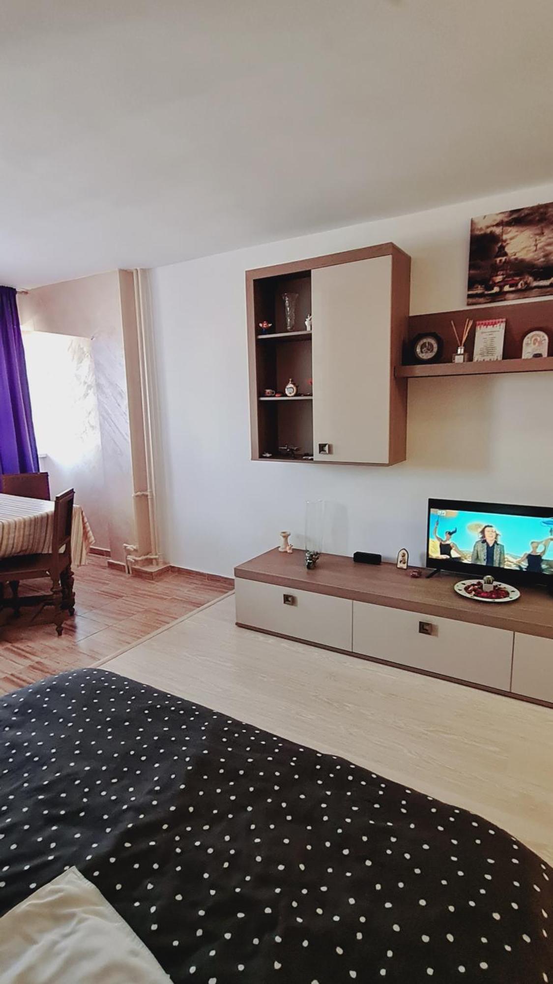 Apartment Studio Dristor *