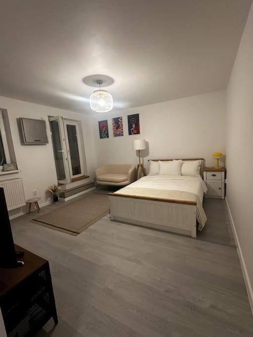 Studio Cozy Piata Victoriei * Bucharest