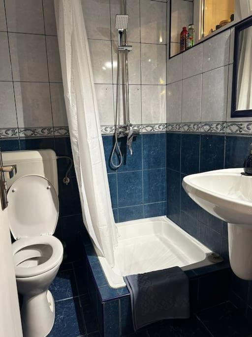 Apartment Studio Cozy Piata Victoriei