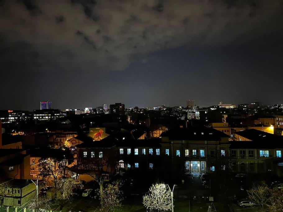 Studio Cozy Piata Victoriei *