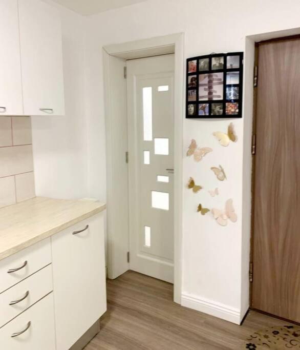 Flat Apartment