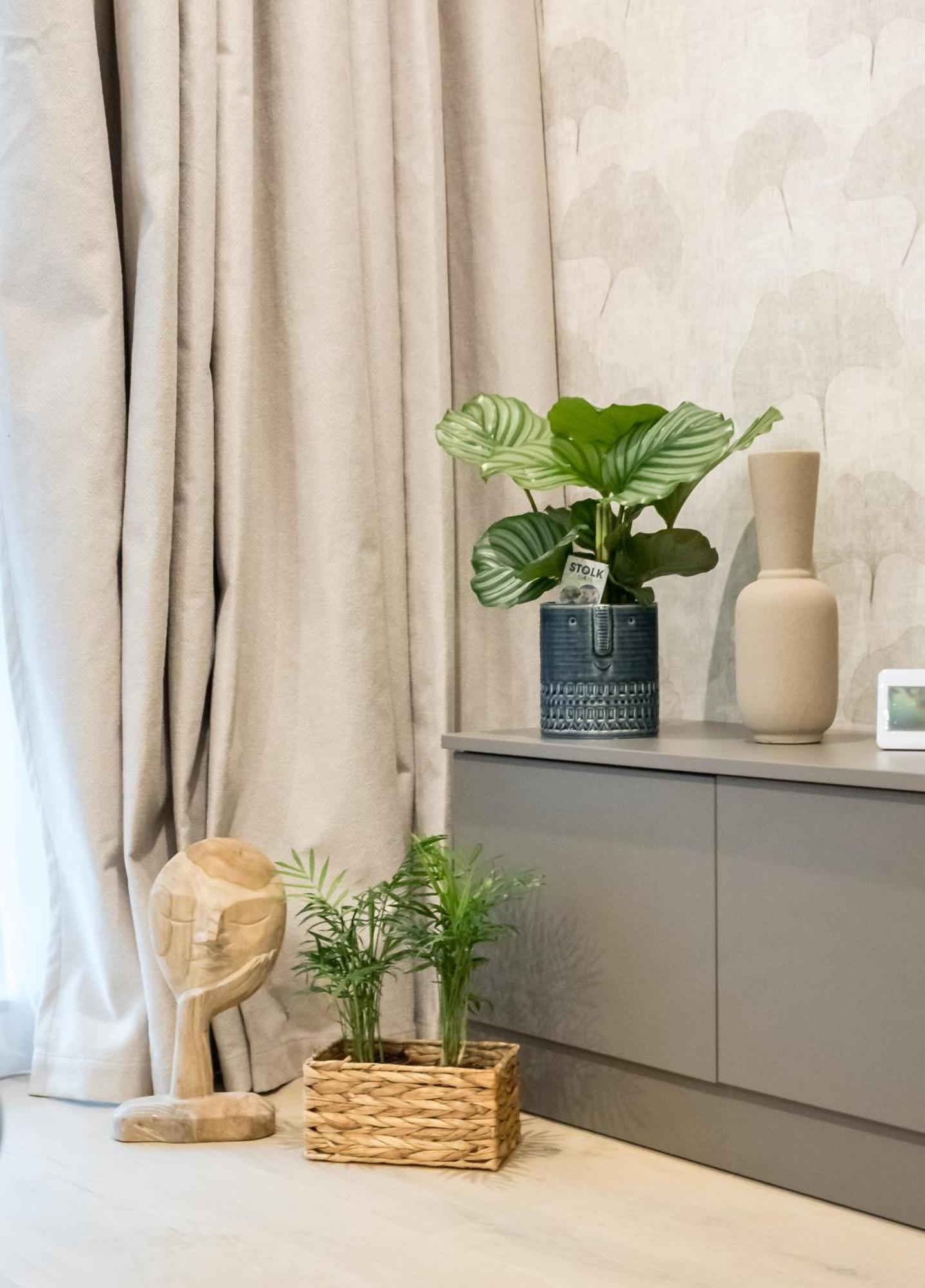 Mediteranian 1br In Nusco Apartment Bucharest