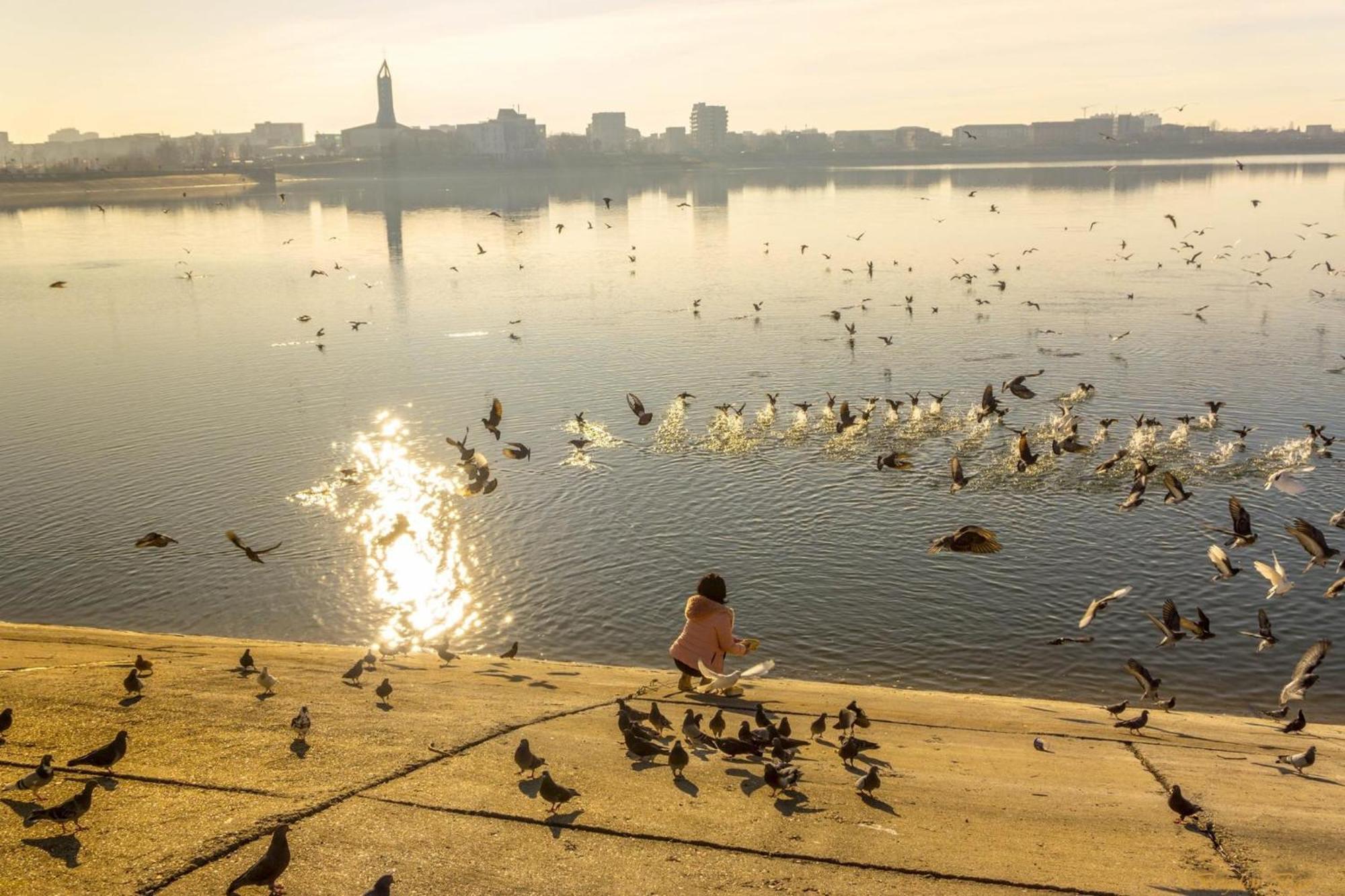 Bridge 113 - Studio Apartment With Free Parking & Flexible Check-In, Sector 6 Apartment Bucharest