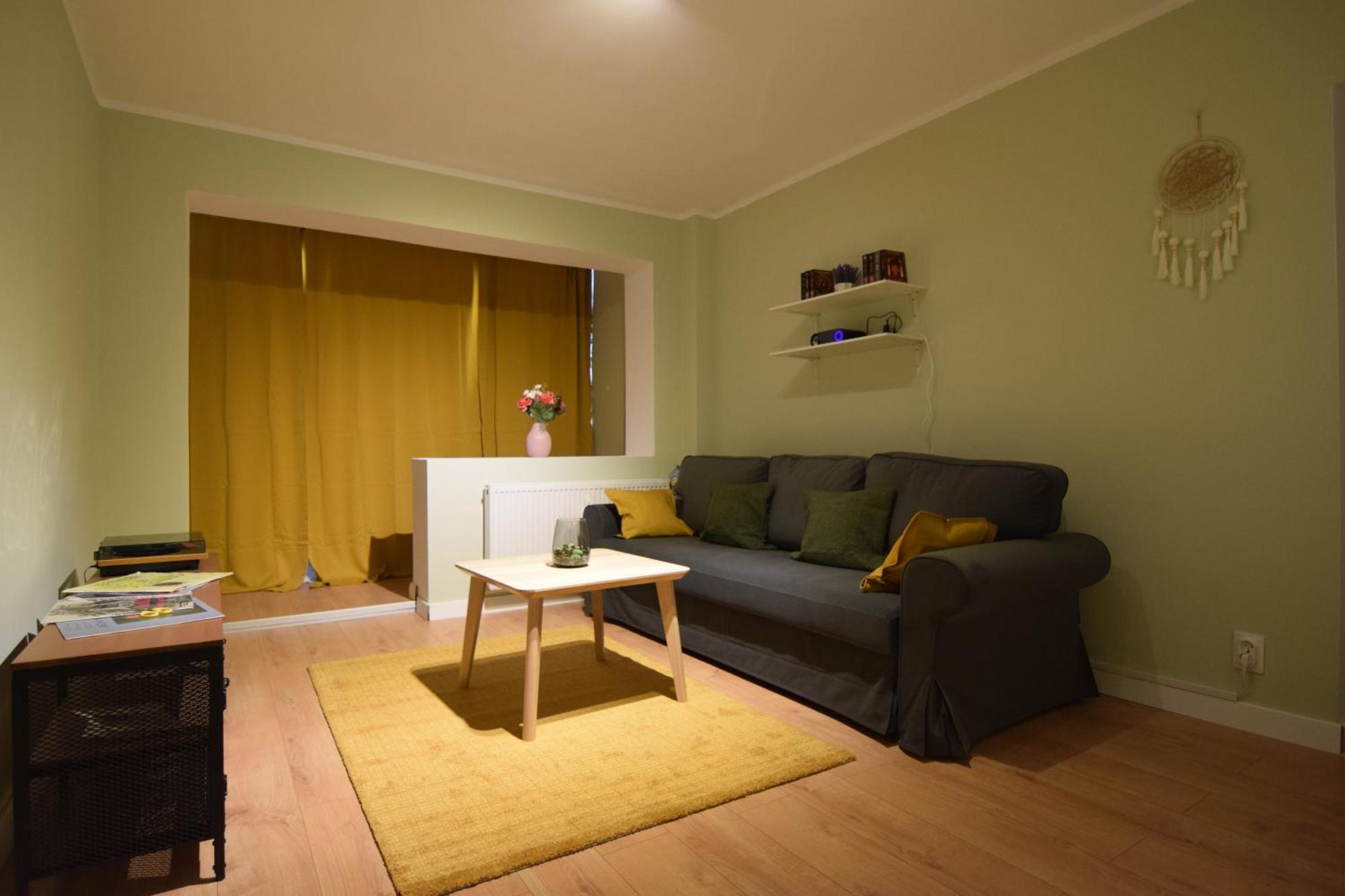 Apartment Stylish With Video Projector