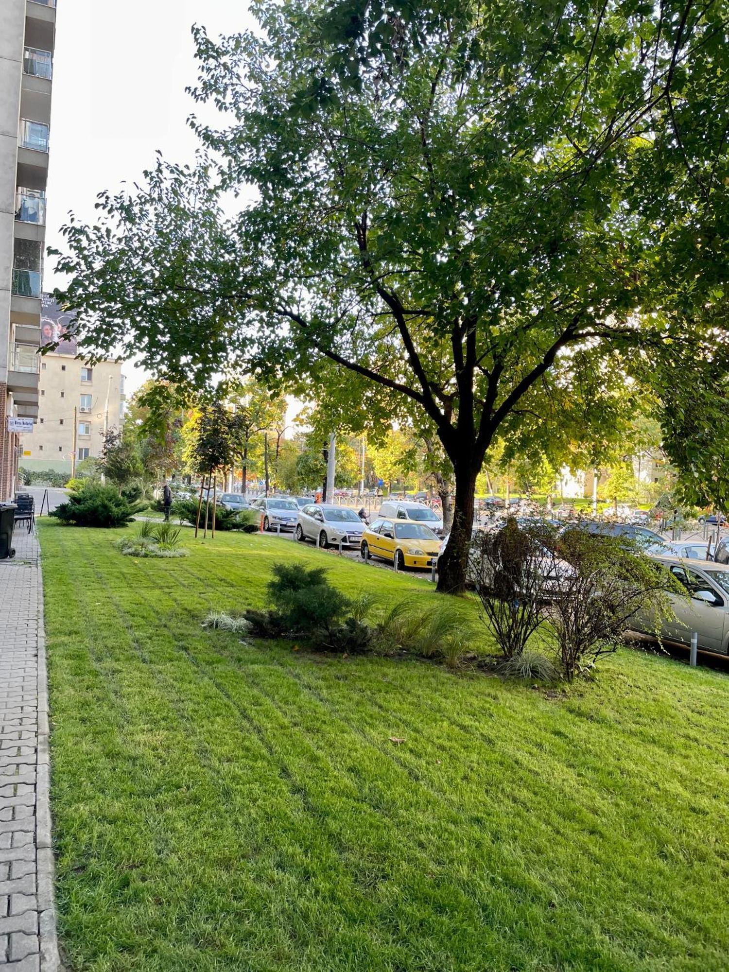 Blossom Nest - 1br With Terrace And Underground Parking Apartment *