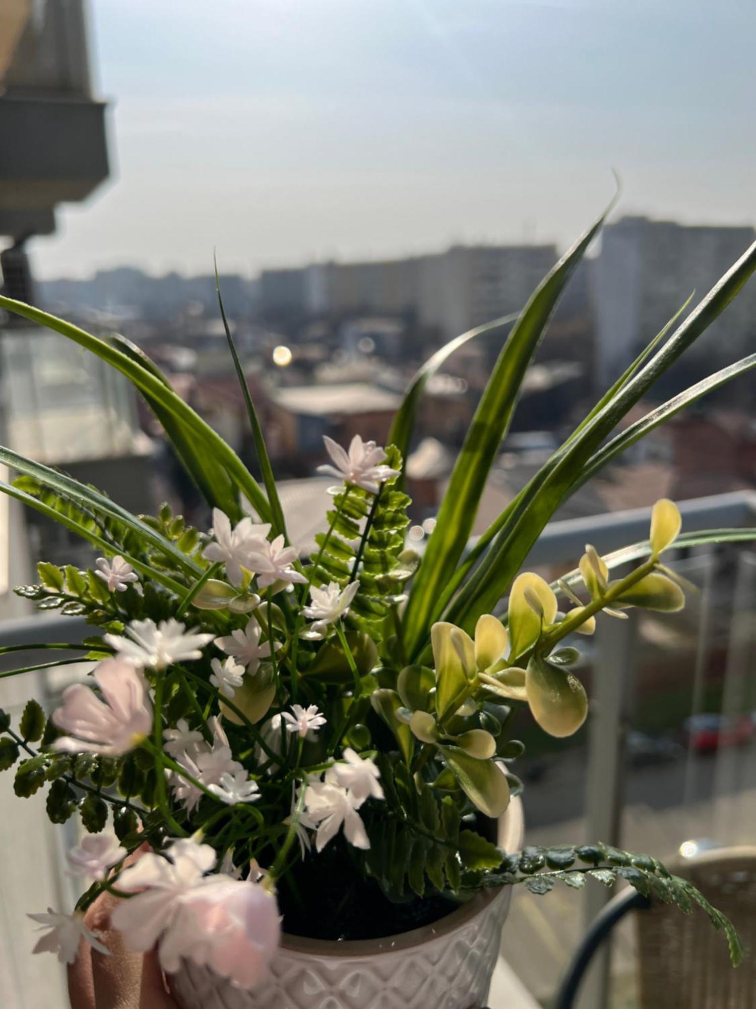 Blossom Nest - 1br With Terrace And Underground Parking Apartment