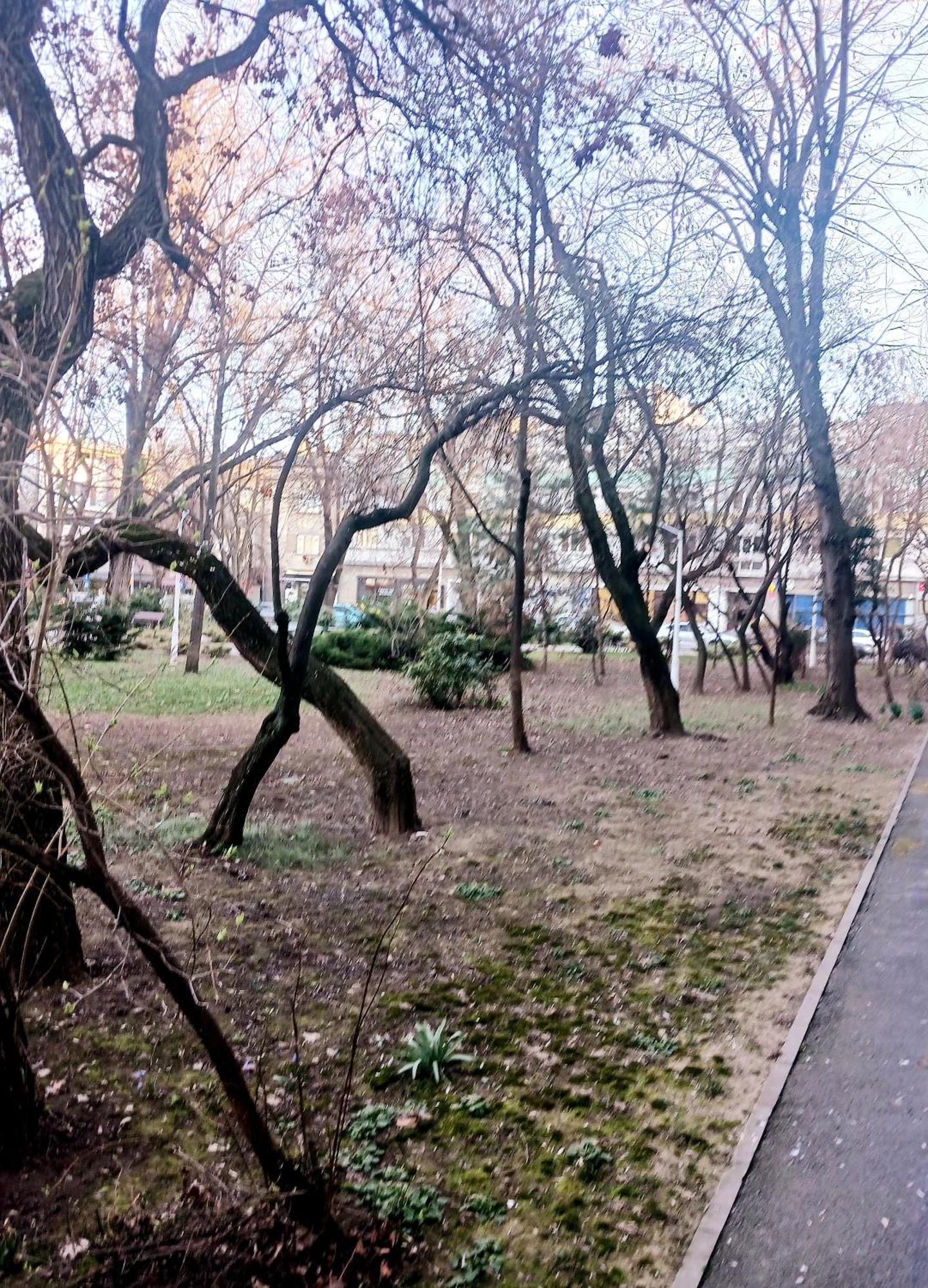 The House In The Park