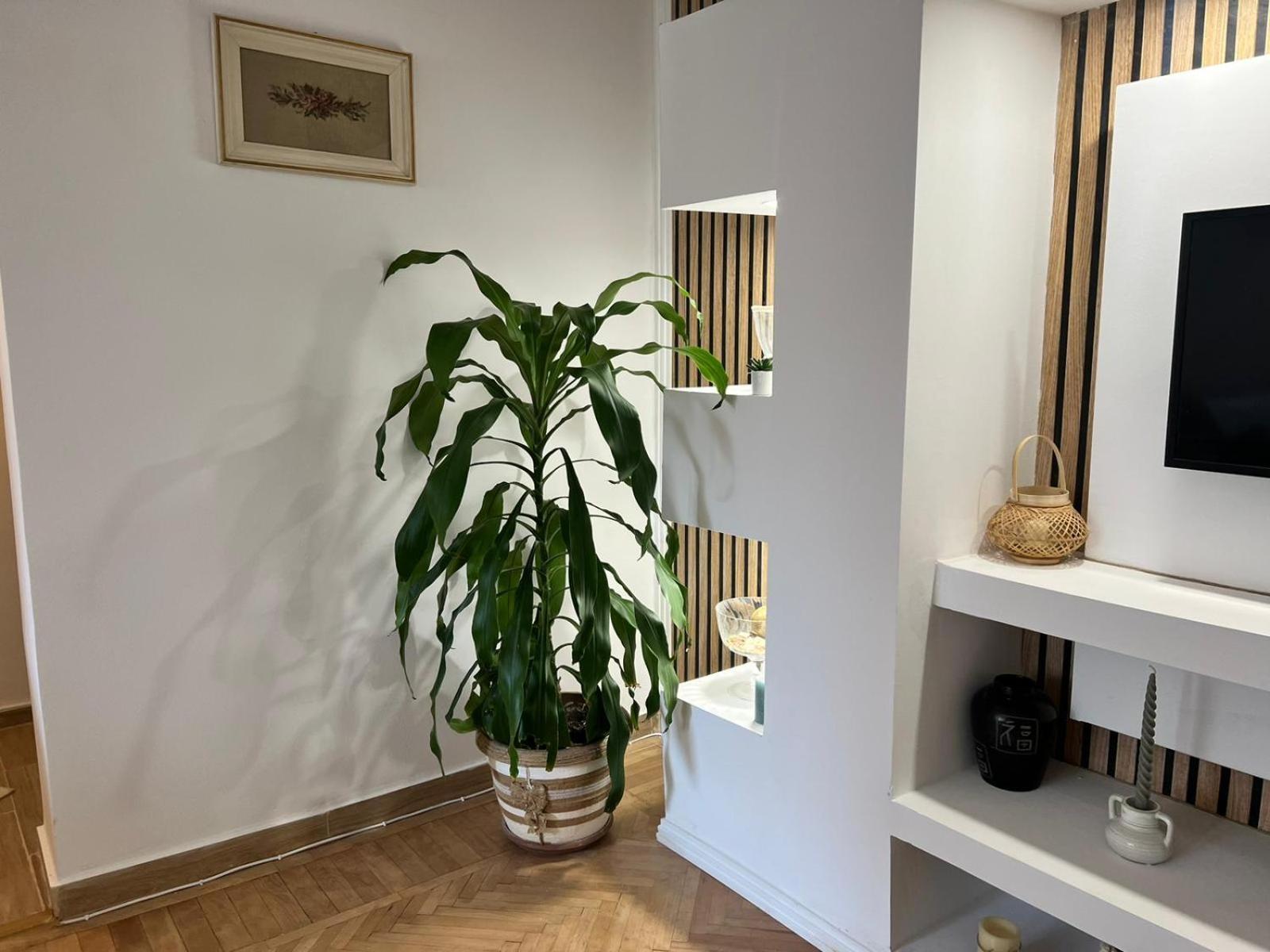 The House In The Park Apartment